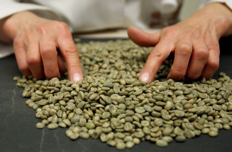 Cafeteros / foto referencia