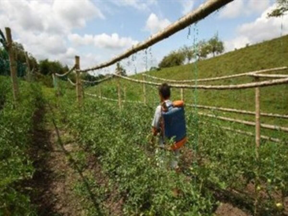 Indígenas, campesinos y afros colombianos abordan temas de tierras y energía