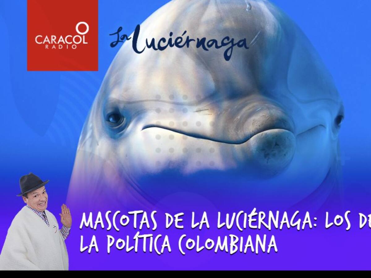 Mascotas de la Luciérnaga: los delfines de la política colombiana