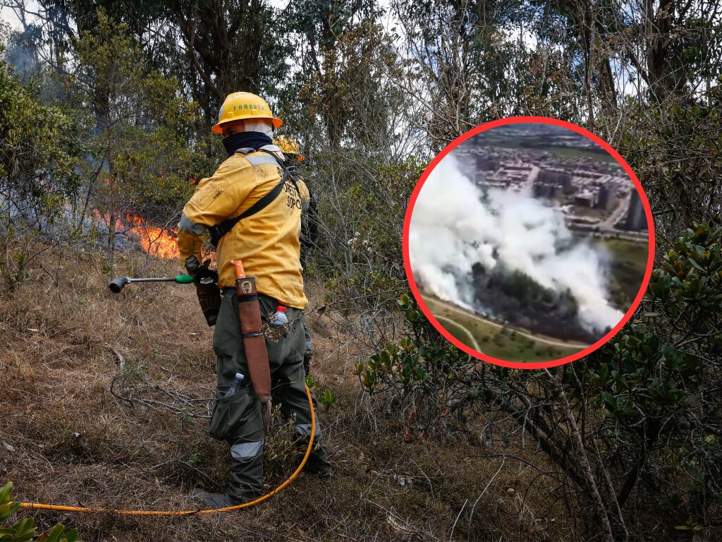 Incendio forestal en Colombia (Fotos vía Getty Images y COLPRENSA)