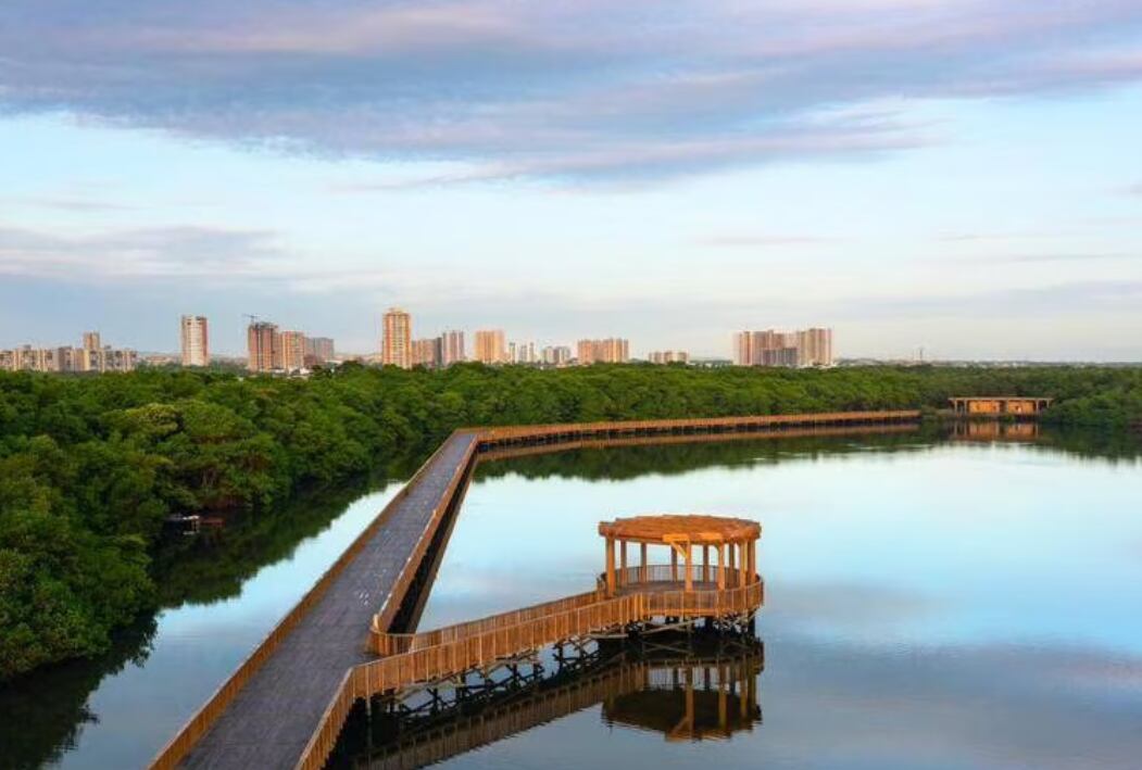 Ciénaga de Mallorquín