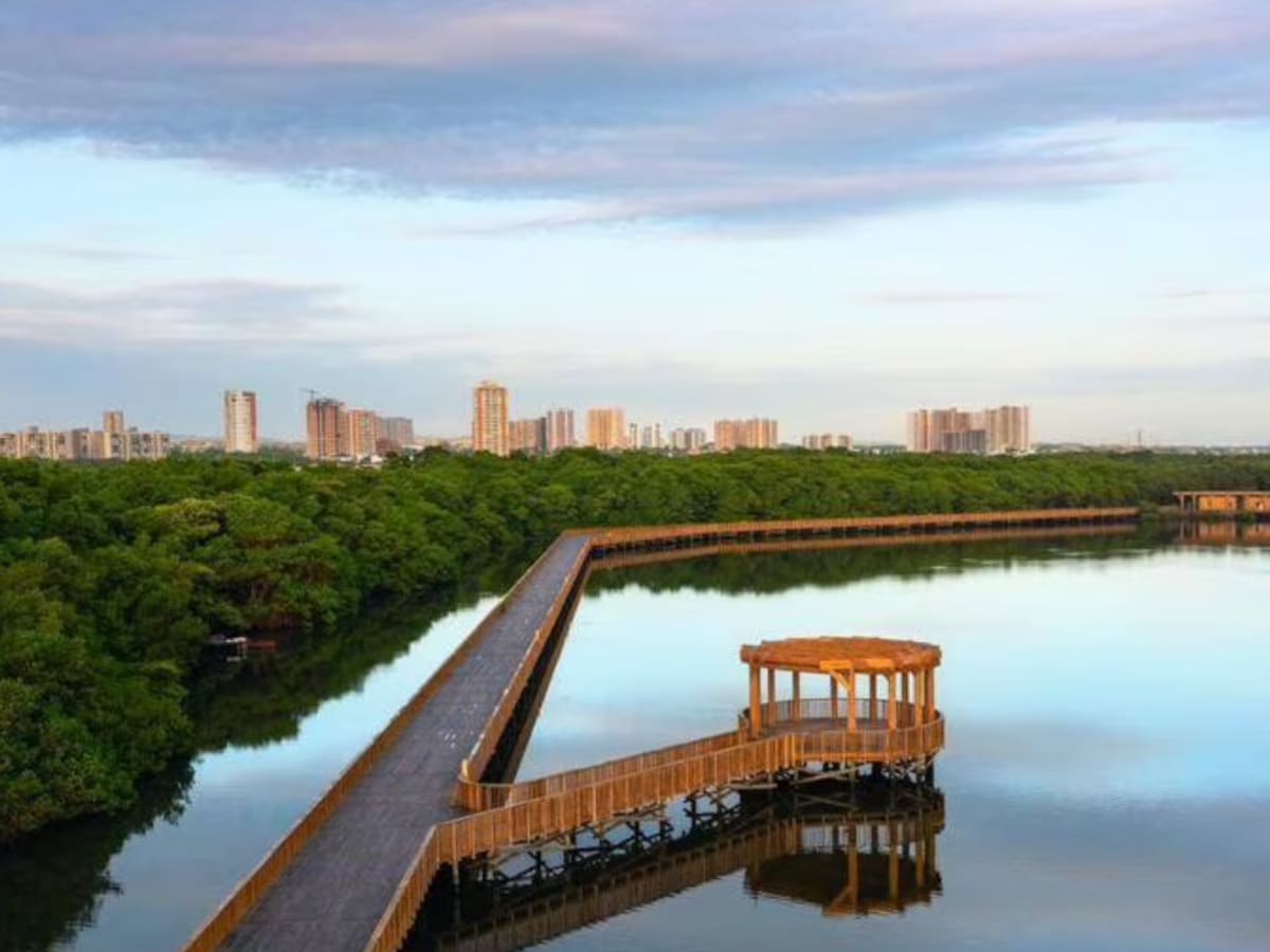 Habilitan primer tramo del Ecoparque Ciénaga de Mallorquín
