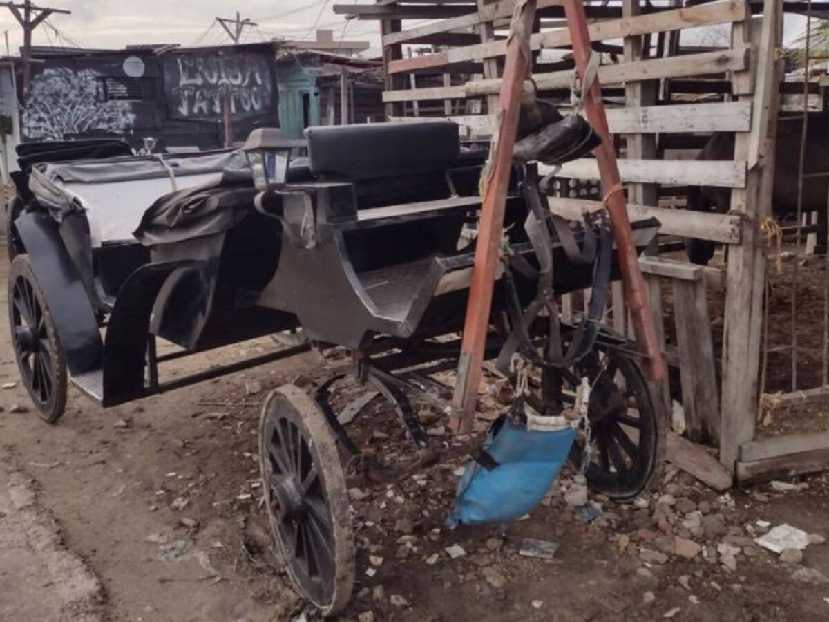 Procuraduría reiteró a Dau tomar medidas para garantizar coches turísticos