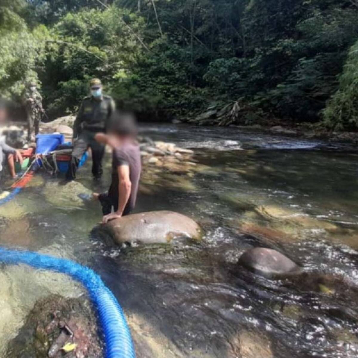 Acciones en Victoria, Caldas, contra la minería ilegal y la tala de árboles