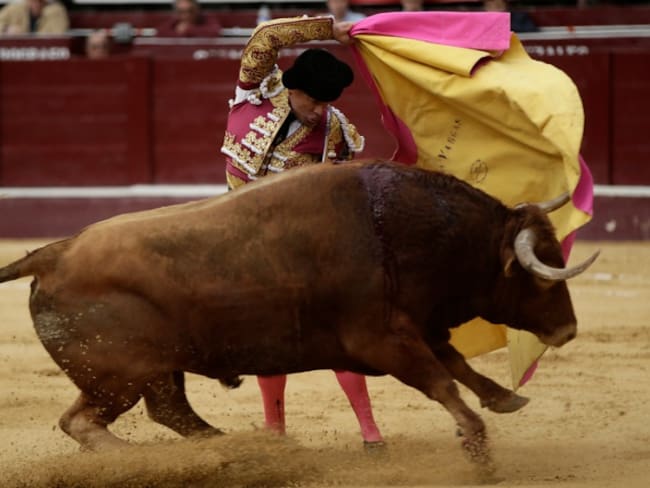 Polémica por reversazo de la Corte frente a corridas de toros