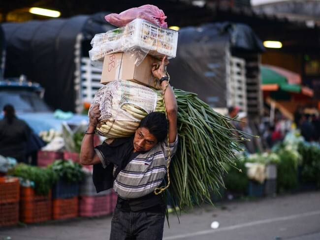 Imagen de referencia