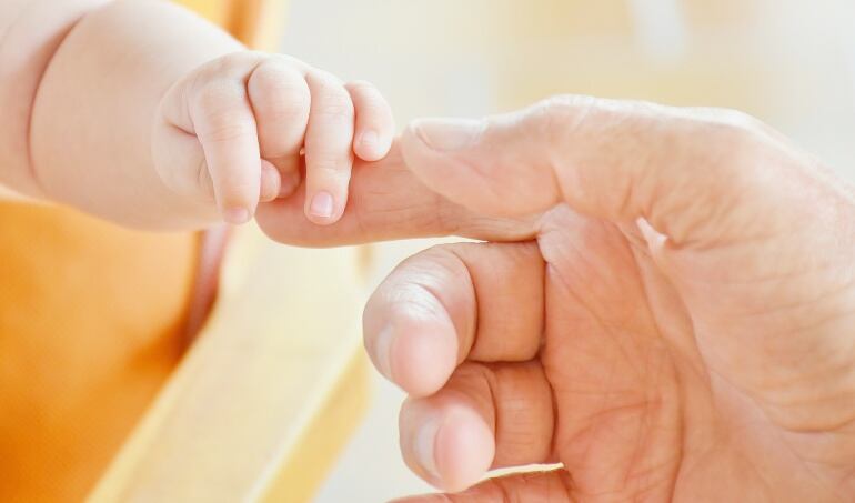 Imagen de referencia 