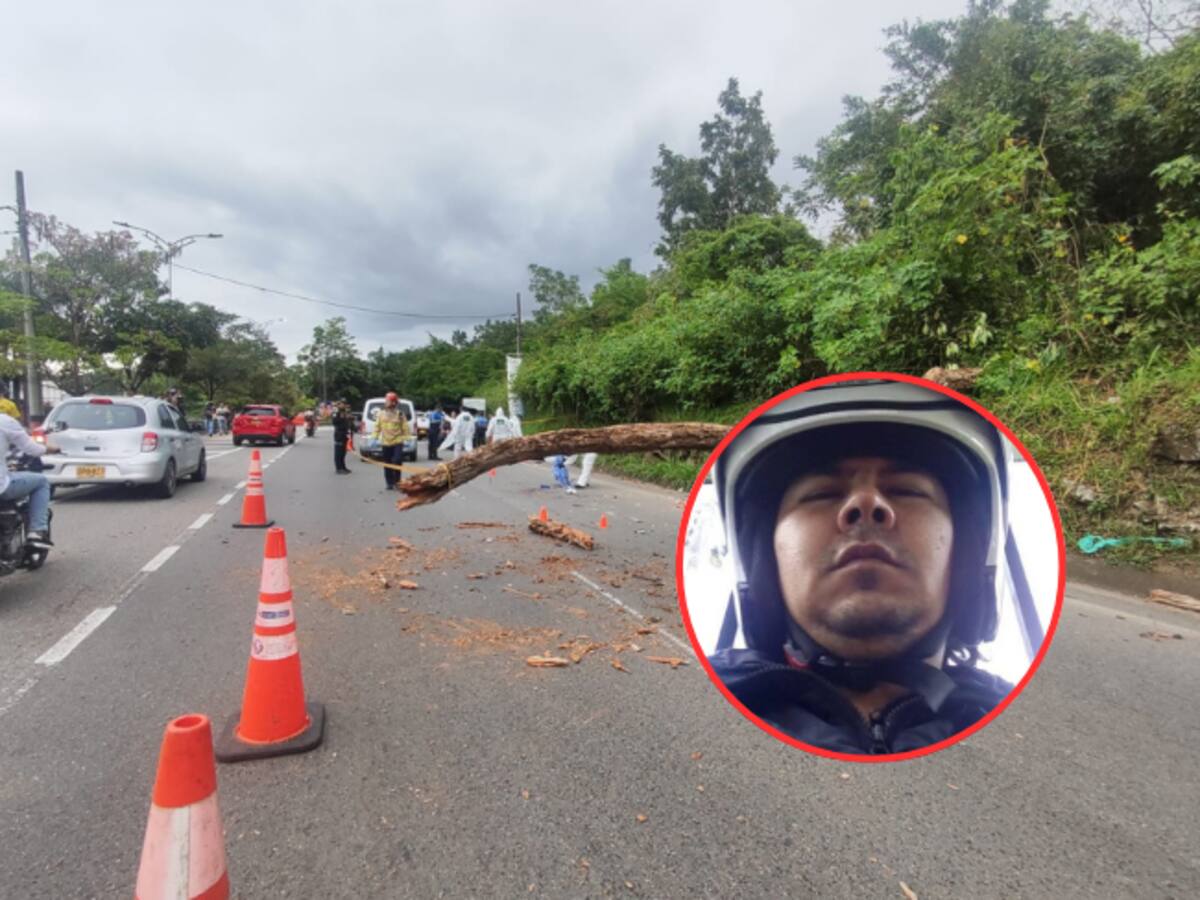 La tragedia pudo evitarse: familiar de hombre que murió tras caída de un árbol en vía de Piedecuesta