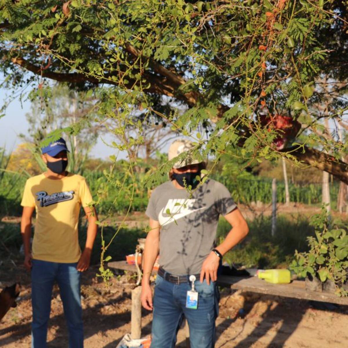Proponen recuperar la producción agrícola en zonas mineras del Cesar