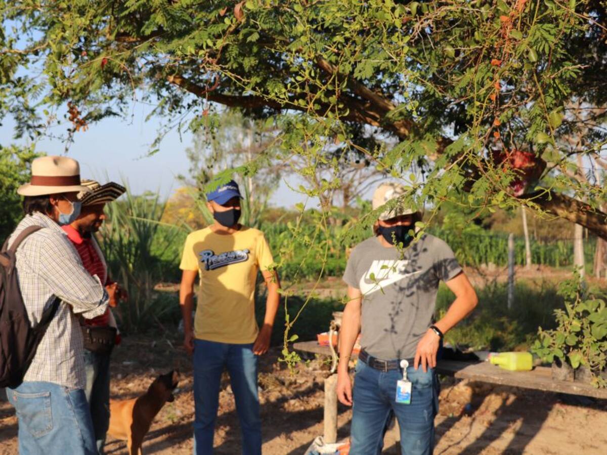 Proponen recuperar la producción agrícola en zonas mineras del Cesar
