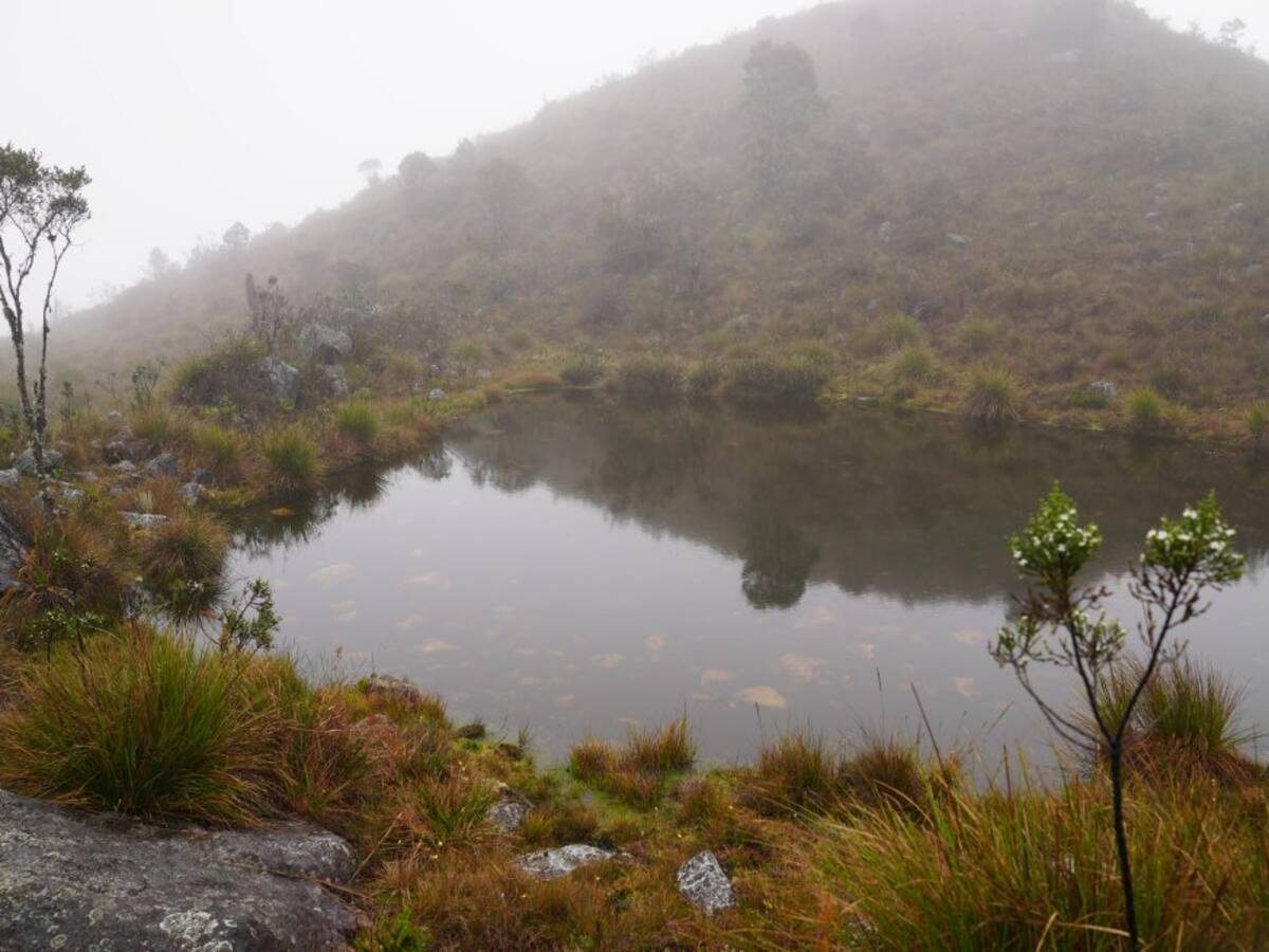 La Alcaldía de Cúcuta comprará predios para fortalecer la protección del Páramo de Santurbán