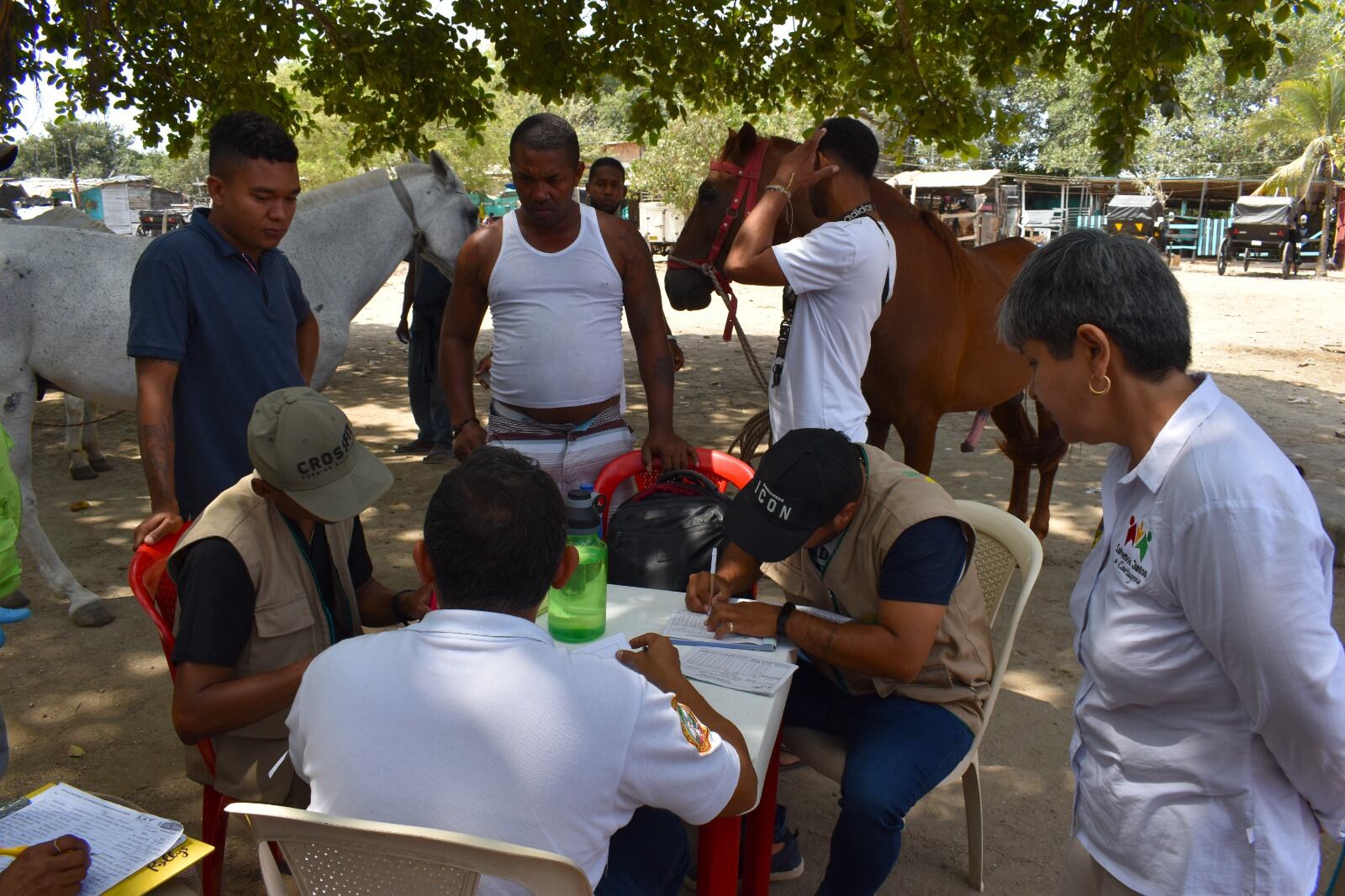 Alcaldía de Cartagena