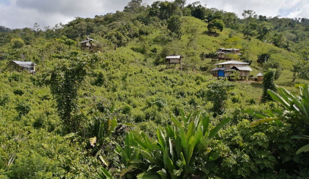 La población indígena del departamento es quien resulta más afectada