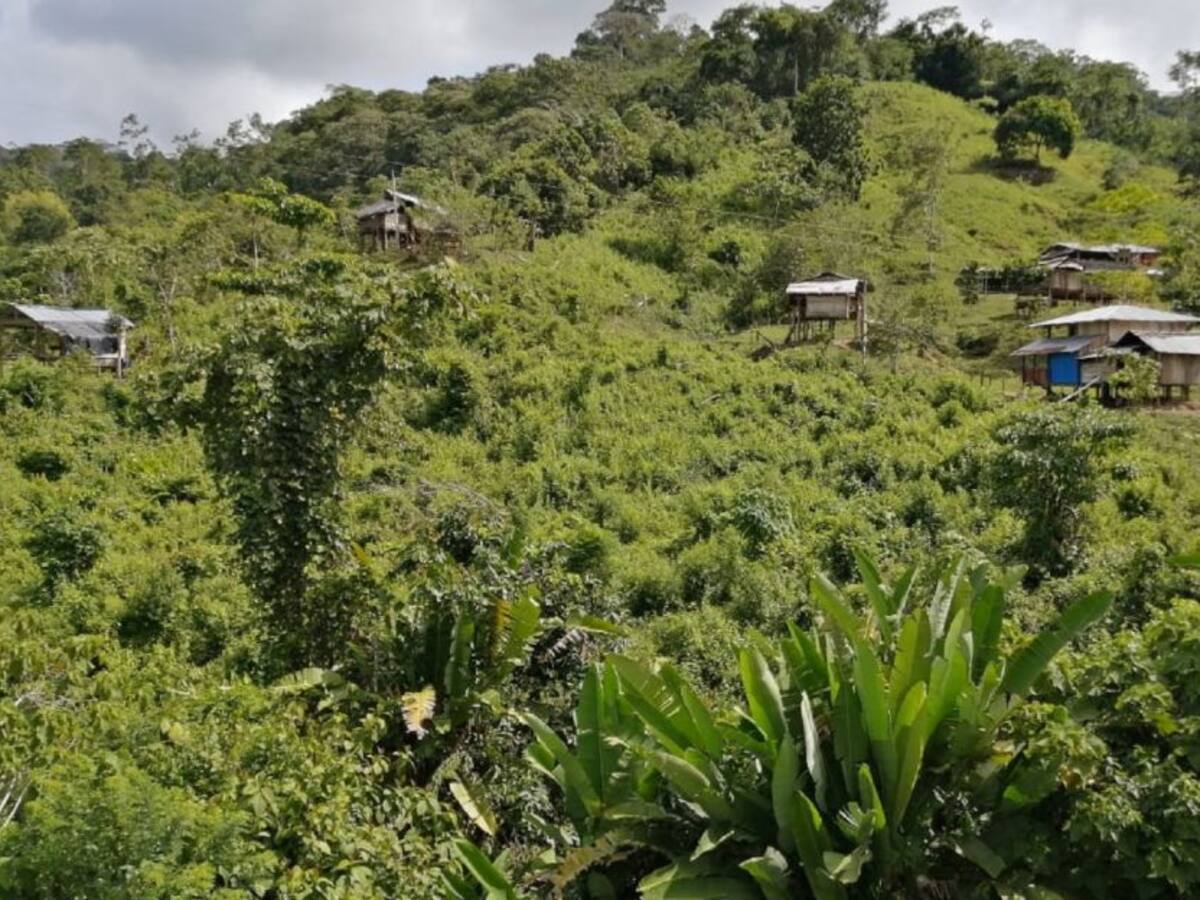 Antioquia cuarto departamento con mayor afectación de minas antipersonal