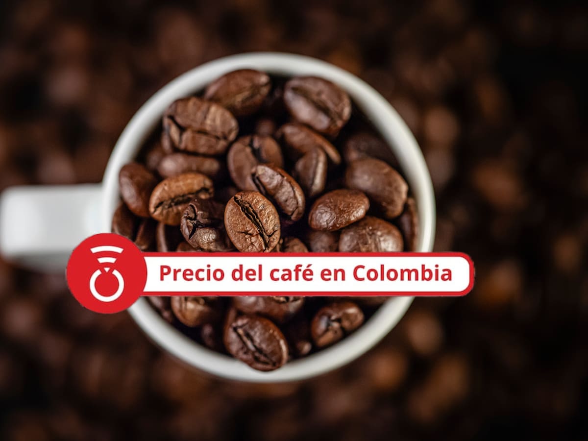 Precio del café HOY 4 de agosto: El grano tuvo un leve incremento en el último reporte
