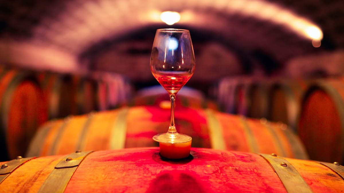 María Jimena Cárdenas presentó su nuevo libro: “Viñedos de Colombia: los vinos del Trópico”