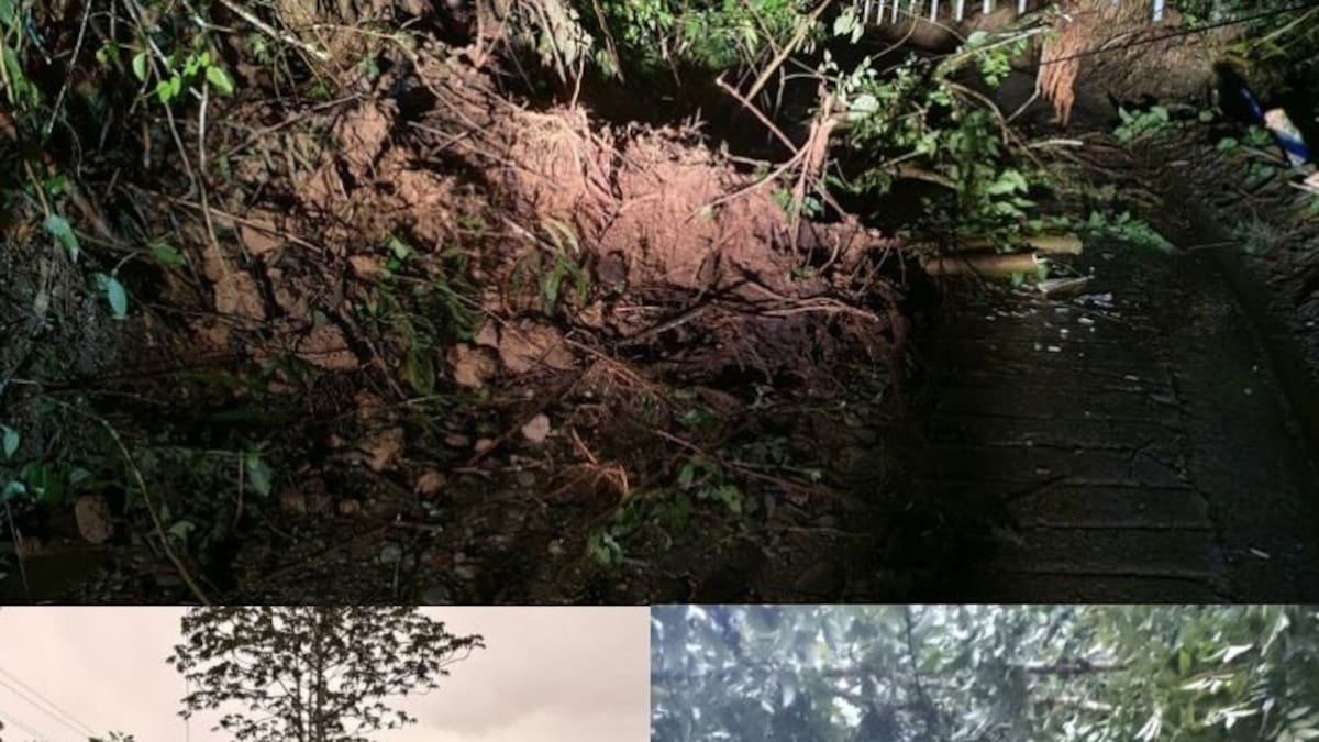 David Echeverri, gestión riesgo Salento