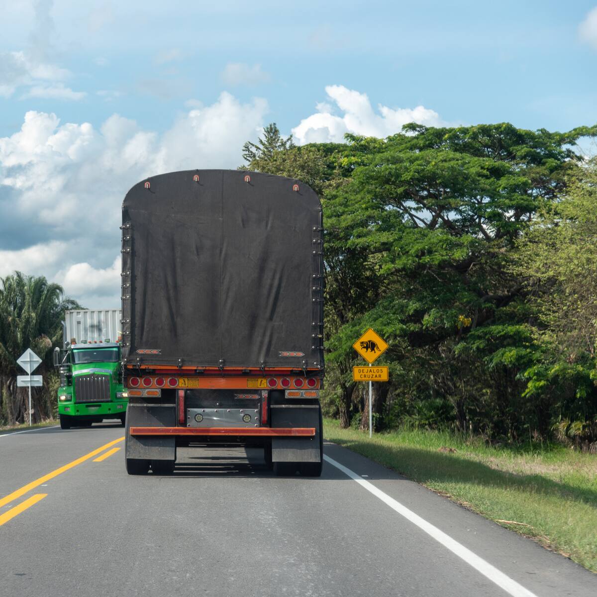 Camioneros del Huila no se unirán al paro nacional: priorizan otras demandas