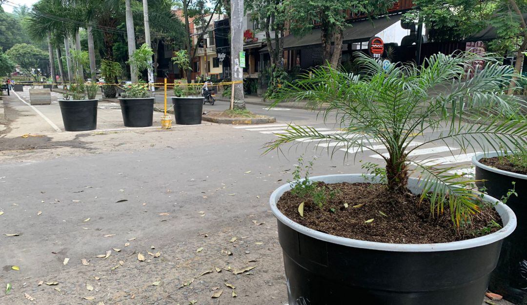 Instalación de materas en las vías aledañas al Parque del Perro