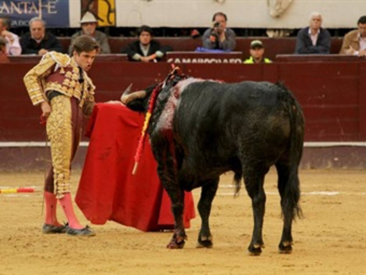 Cualquier asociación taurina puede solicitar el uso de La Santamaría: Corporación Taurina