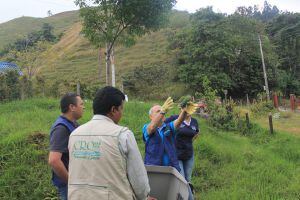 18 búhos y loras fueron liberados en el municipio de Salento