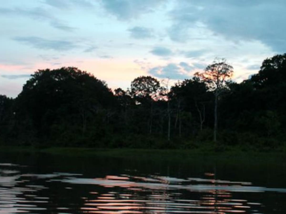 Programa para conservar la Amazonía colombiana presentan Hungría y la UE