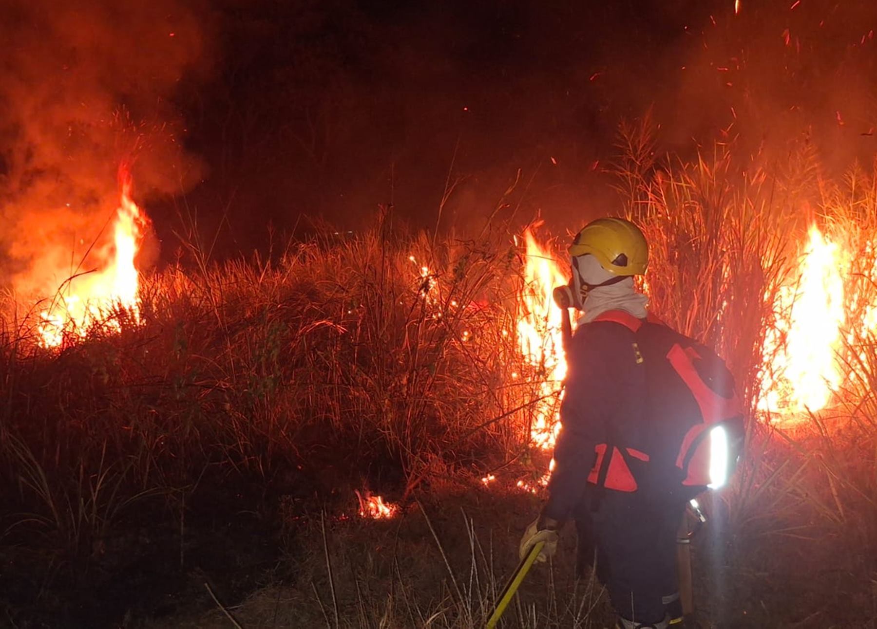 Incendios forestales en Ibagué
