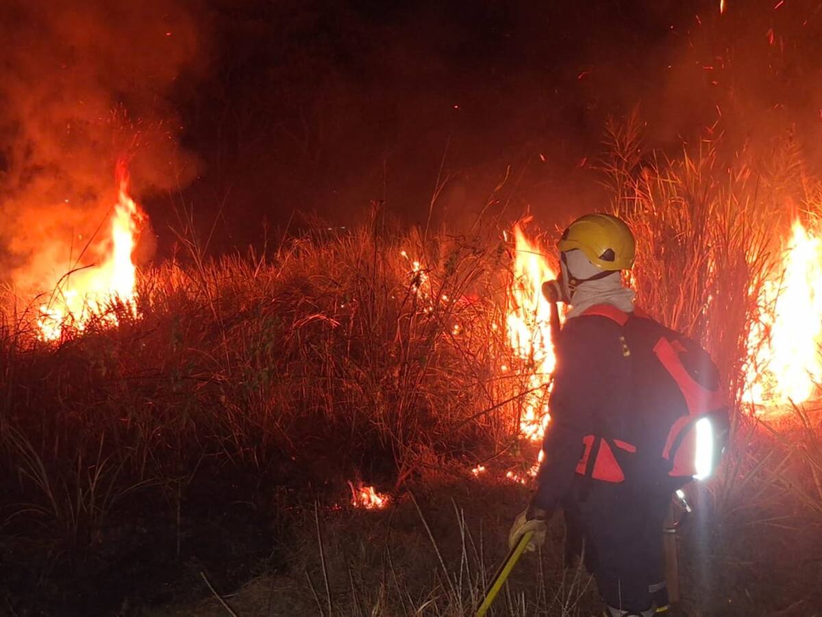 Emergencias por Incendios forestales no paran en Ibagué