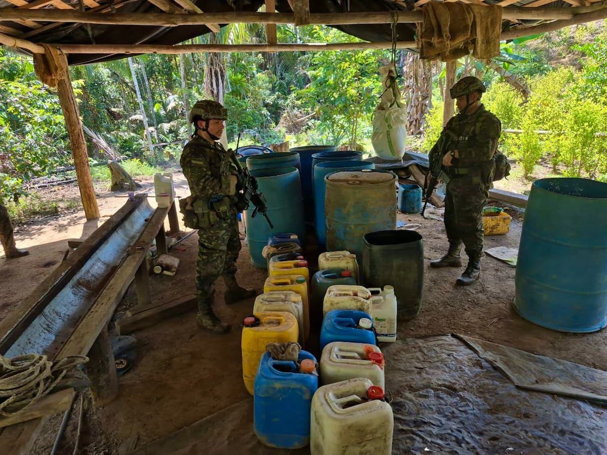 Ejército desmanteló siete laboratorios del Clan del Golfo para procesar coca en San Carlos