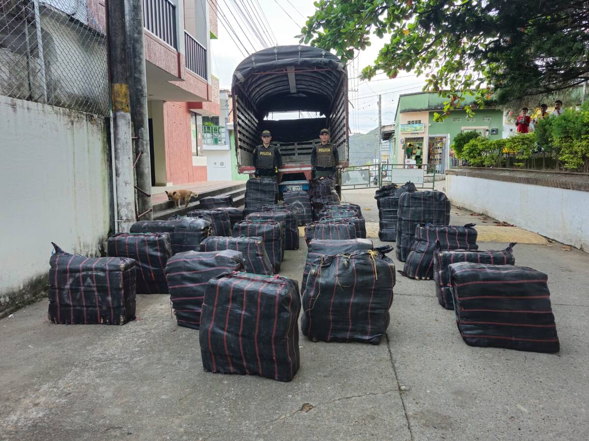 Más de una tonelada de estupefacientes incautó la policía Huila el fin de semana