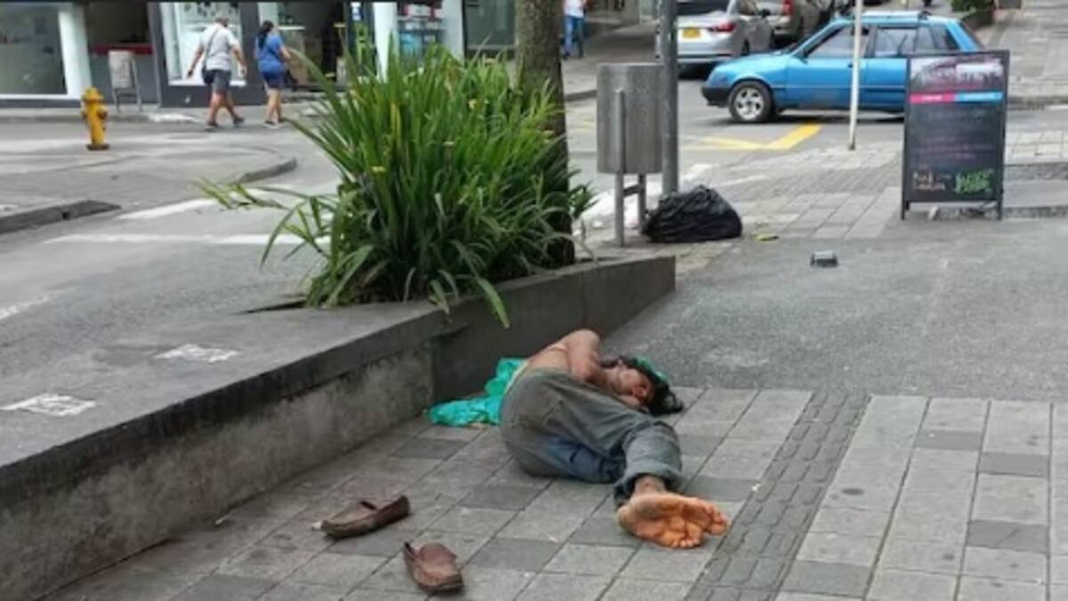 Informe habitante de Calle de Armenia