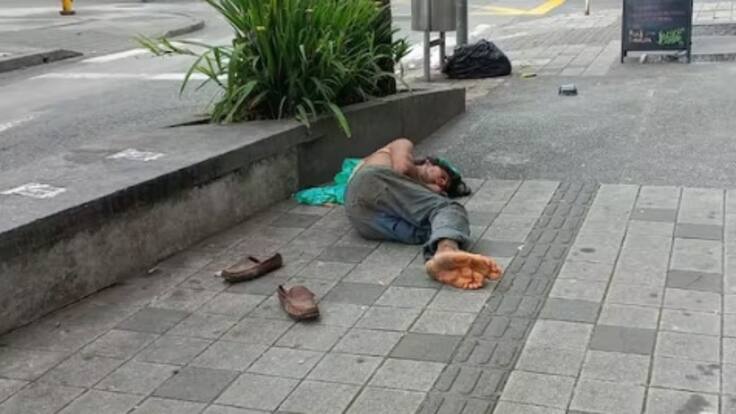 Informe habitante de Calle de Armenia