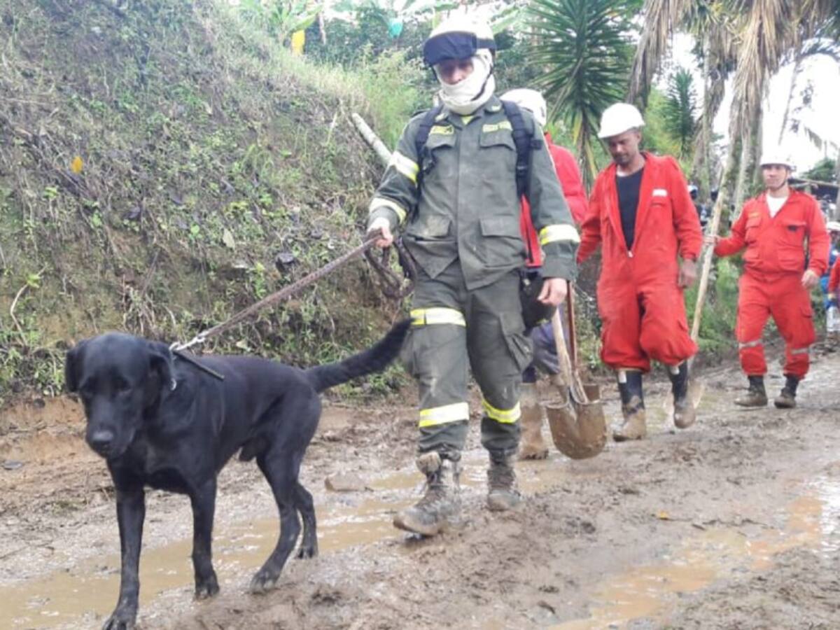 Ya han sido recuperados cinco cuerpos, tras derrumbe en Calarcá
