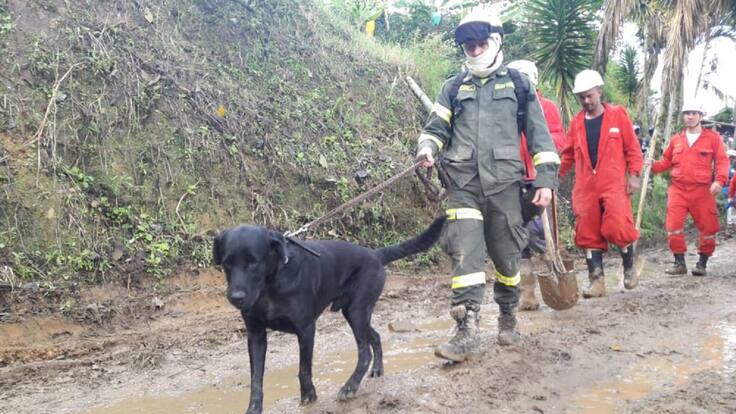Ya han sido recuperados cinco cuerpos, tras derrumbe en Calarcá