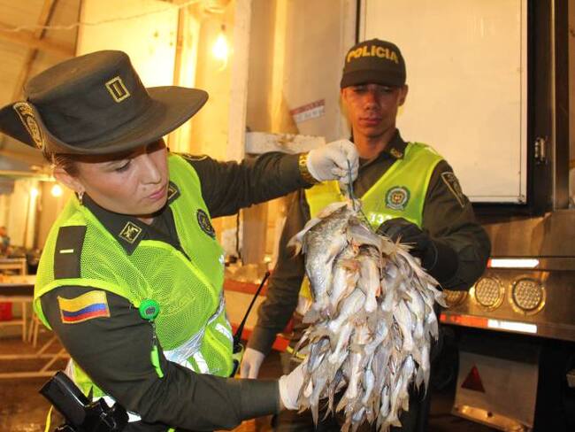 Más de una tonelada de pescado se incautaó en Semana Santa