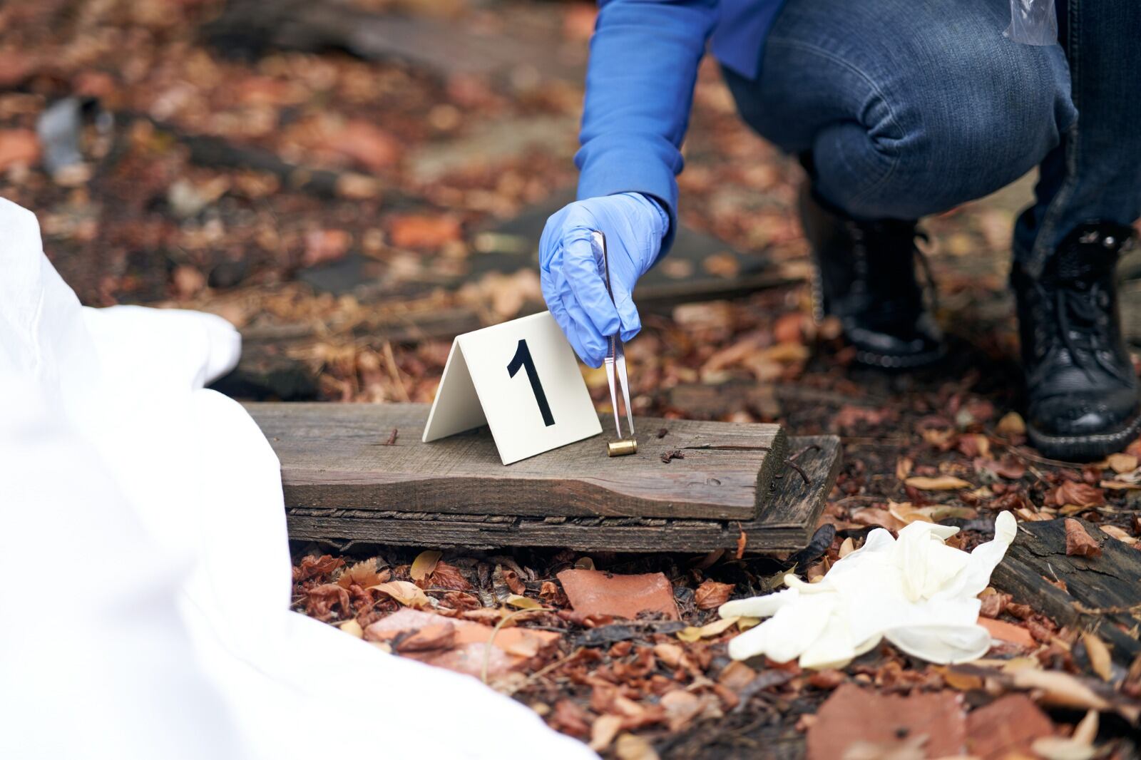 Foto: LEREXIS Getty Images.