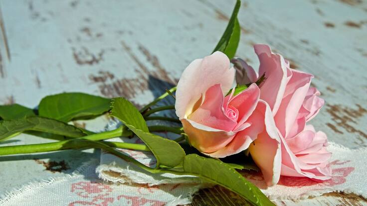 'Legado de amor', un viaje de descubrimiento con Elsa Lucía Arango