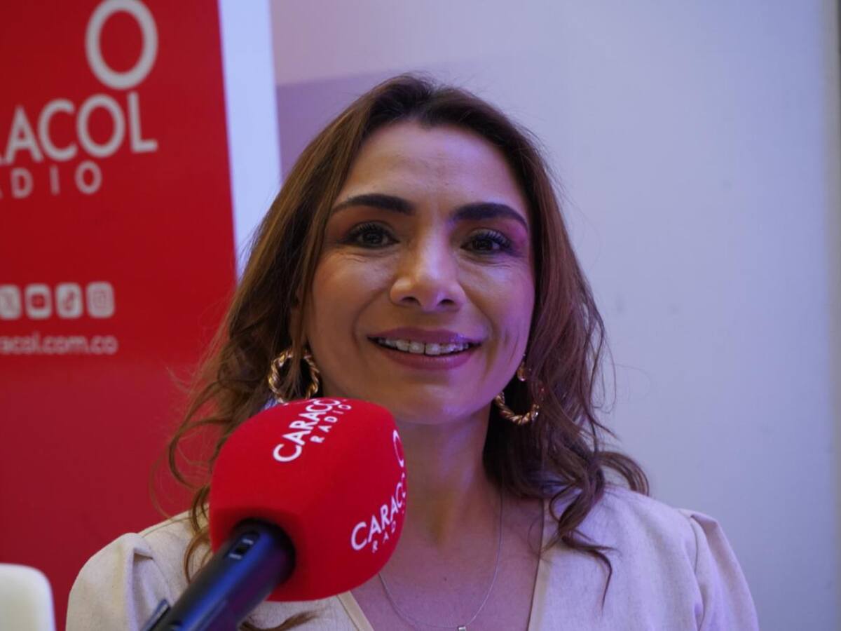 Colombia tiene potencial minero para la transición energética: Agencia Nacional de Minería