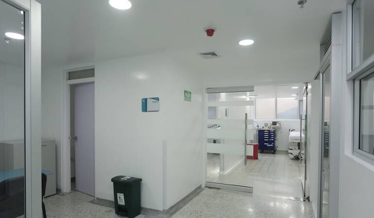 Imagen de referencia 