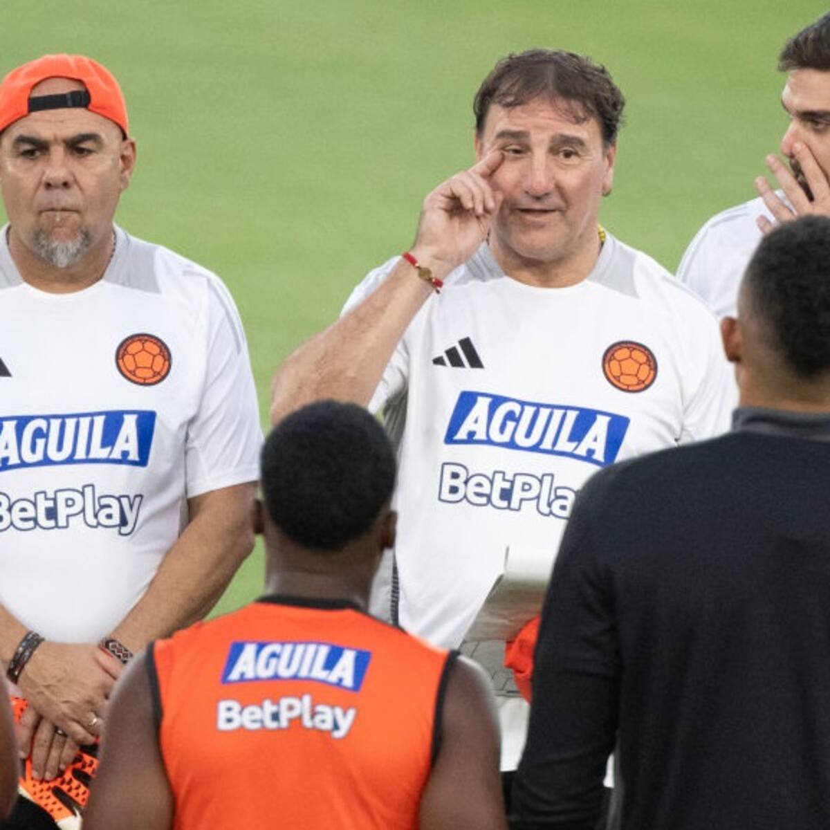 Sorpresa en la Selección Colombia: el jugador que sería convocado para enfrentar a Perú y Argentina