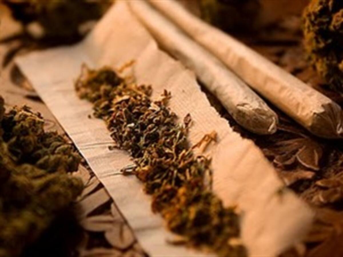 Con el voto de senador oficialista se aprobará la legalización de marihuana en Uruguay