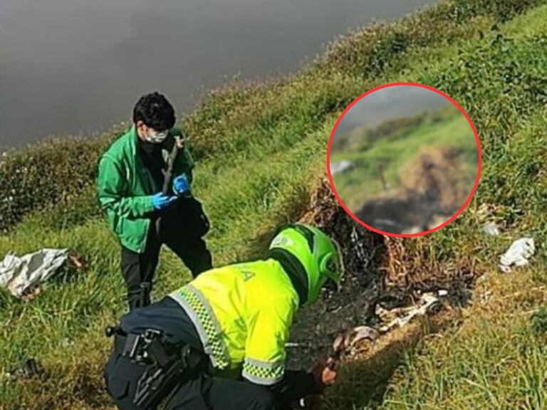 Nuevo caso de maltrato animal: quemaron a una perrita en Suba