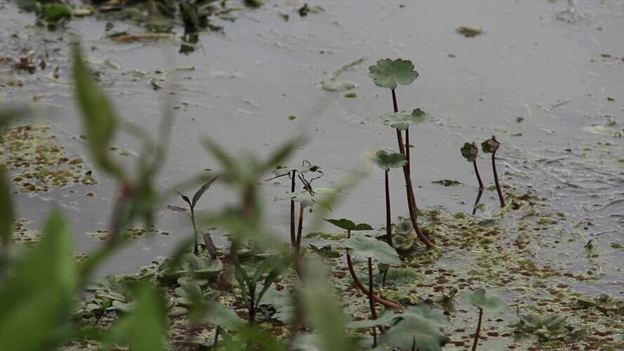 Luis Gilberto Murillo ya no va a expedir el borrador de resolución que reglamenta los humedales en el país. Foto: Colprensa