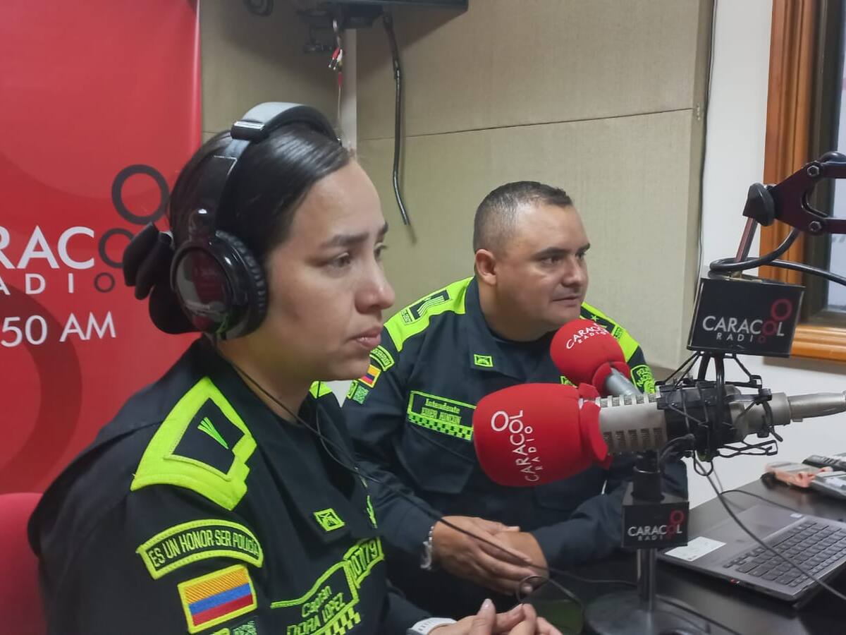 En Quindío intensifican labores de protección de palma de cera y fauna en Semana Santa