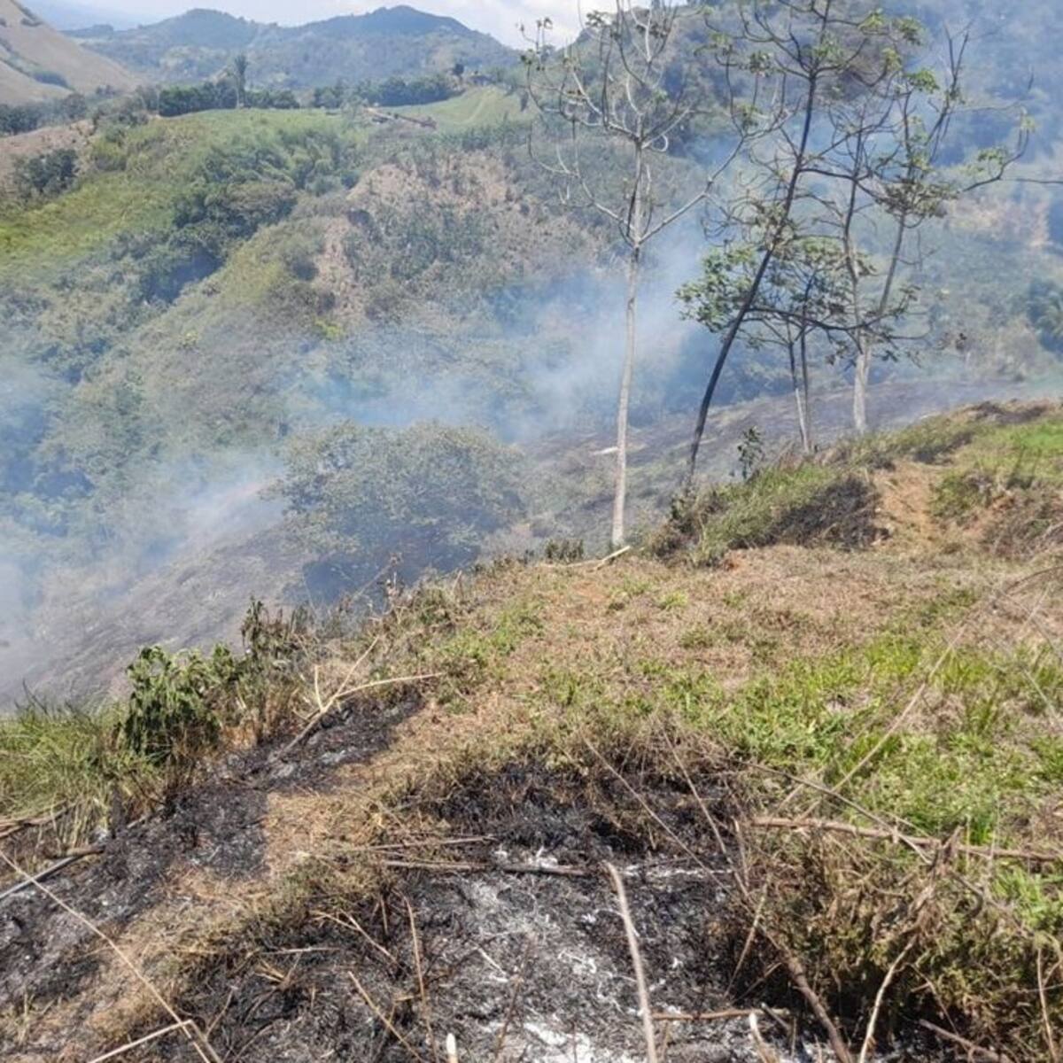 Ya son tres los incendios forestales que se han registrado en Génova, Quindío