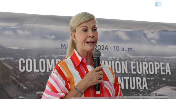 “Estoy de acuerdo con lo frentes de seguridad, pero con límites”: gobernadora del Valle