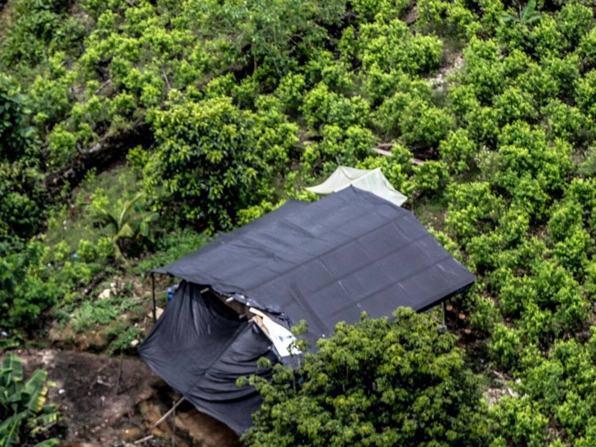 Colombia necesita menos 'bullying' en la lucha contra drogas: The Economist