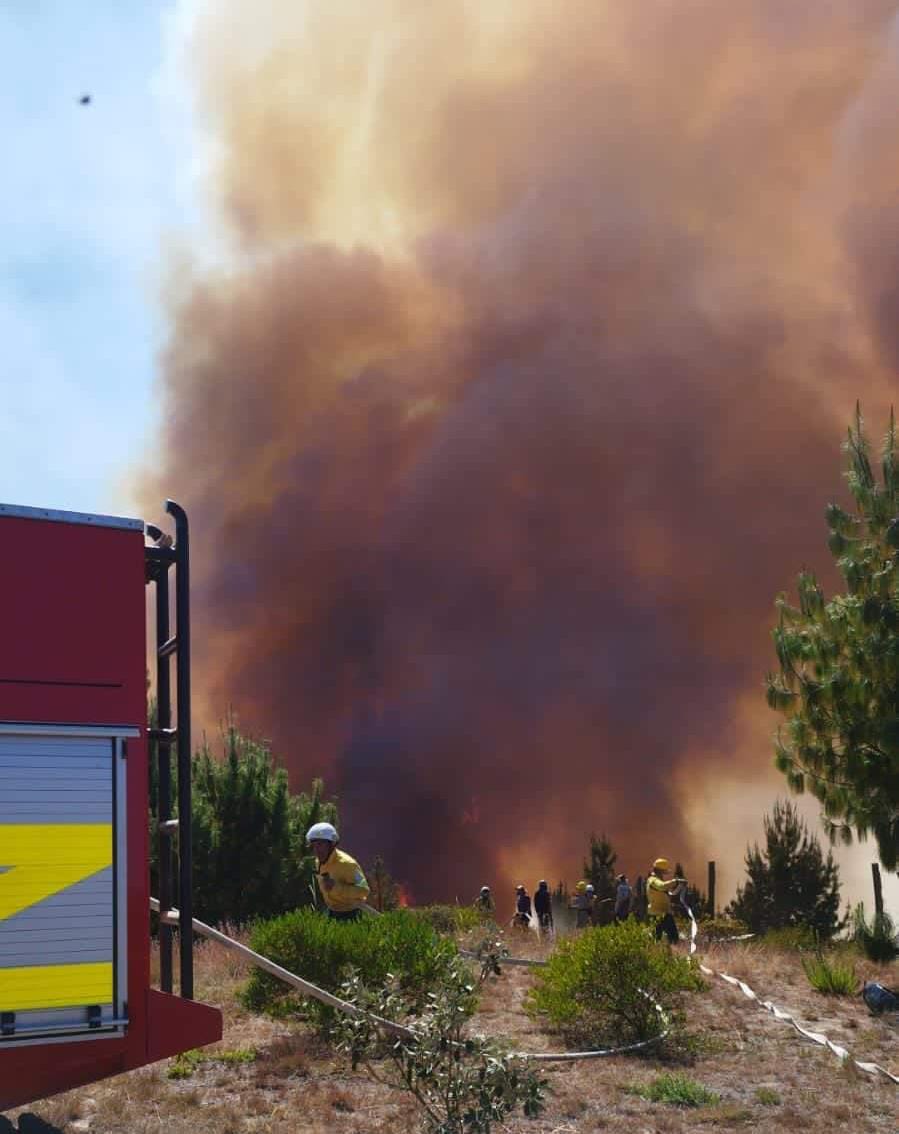 Cientos de hectáreas y Frailejones han sido consumidos por las llamas en diferentes regiones del departamento de Boyacá, a causa del Fenómeno de El Niño. / Foto: Suministrada.