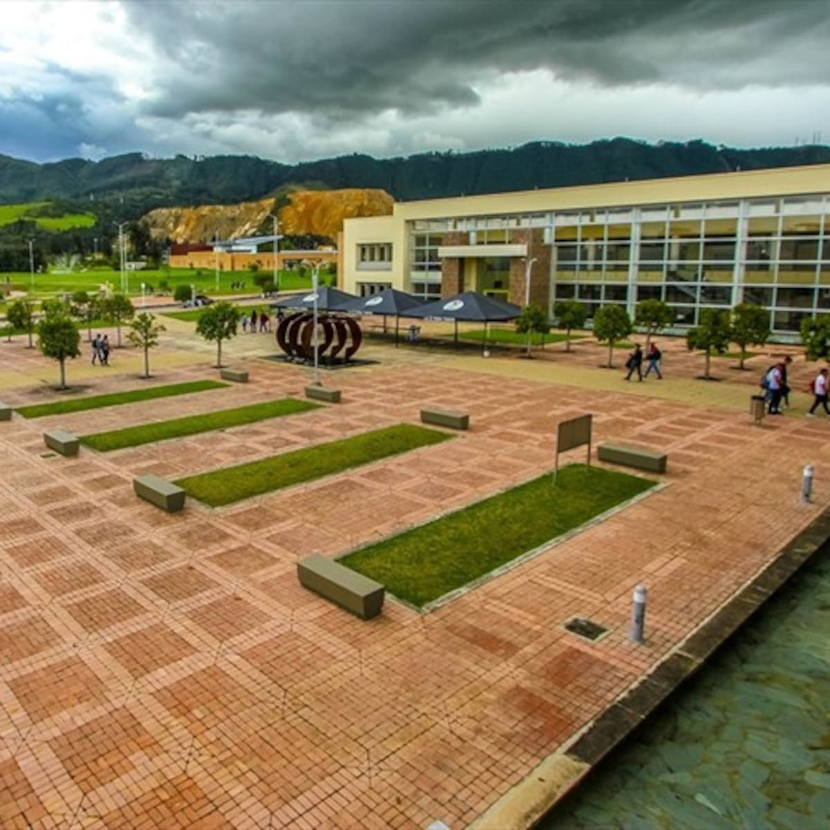 Educación para la paz, nueva apuesta de la Universidad Militar: ¿de qué trata el pregrado?