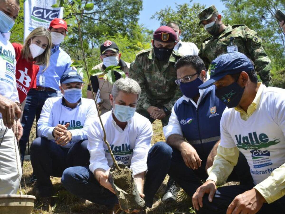 'Gran Sembratón' busca sembrar 180 millones de árboles hasta el año 2022